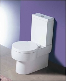 caroma_toilet